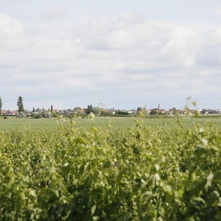 Pension & Weingut Storchenblick Hotel Illmitz Eksteriør billede